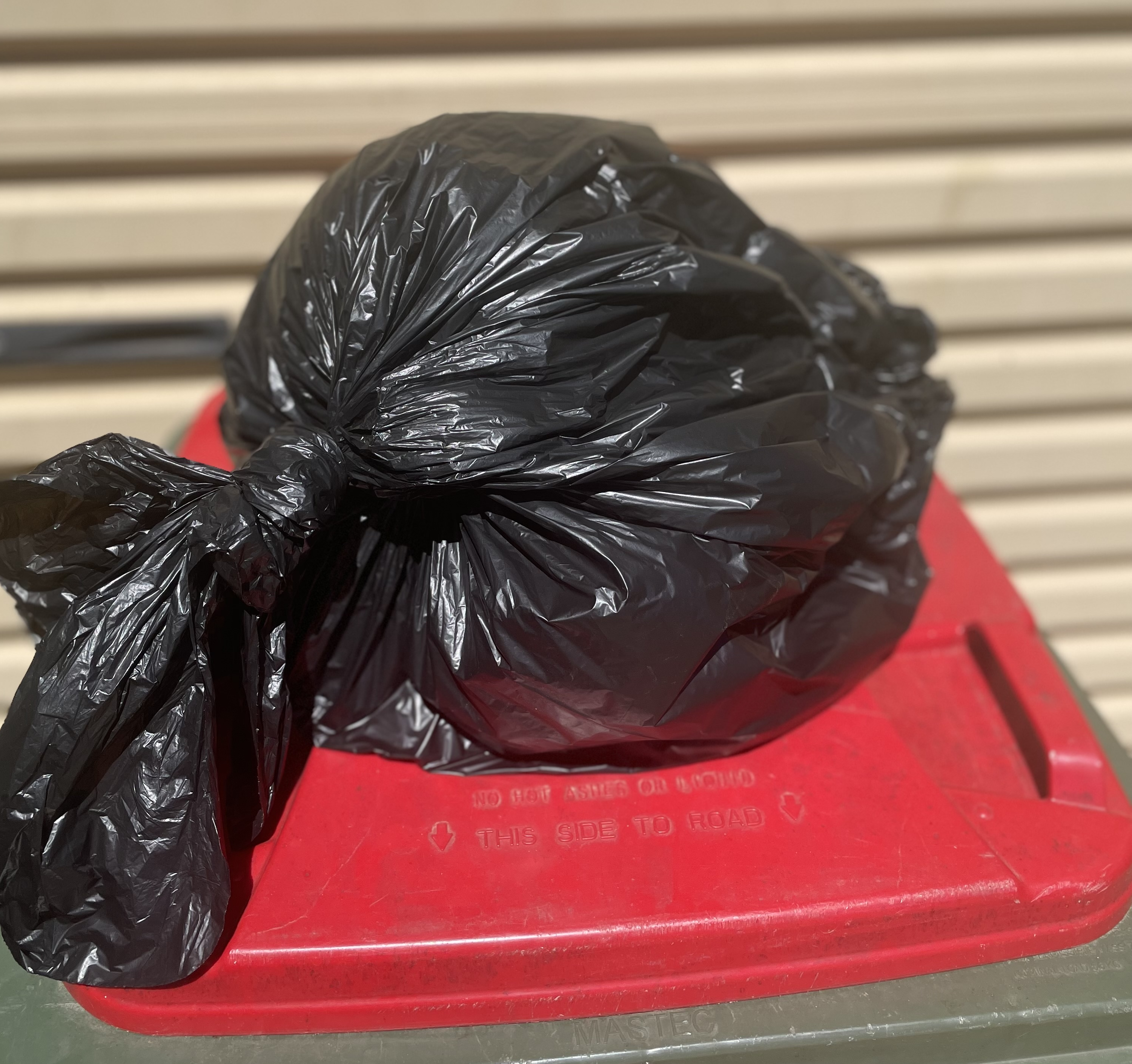 Infected fruit inside plastic bags being exposed to the sun to kill maggots