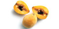 Loquat