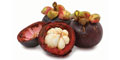Mangosteen