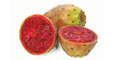 Prickly Pear