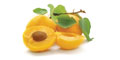 Apricot