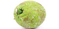Breadfruit