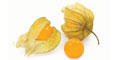 Cape gooseberry