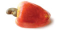 Cashew apple