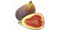 Fig