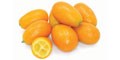 Kumquat