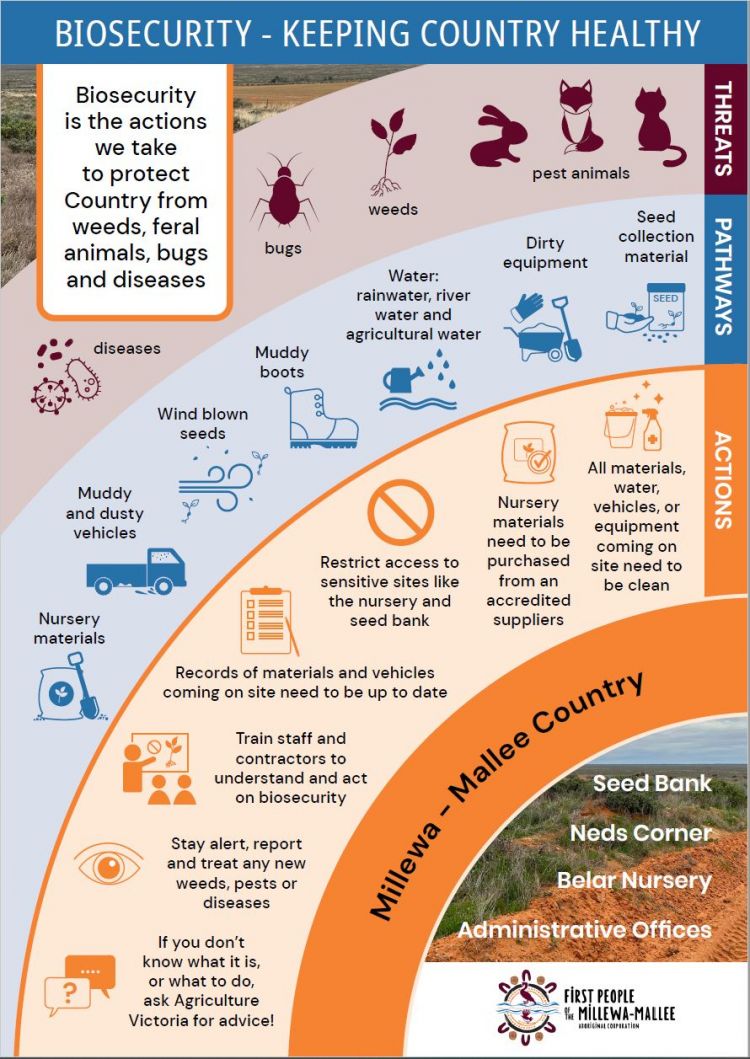 One of 4 site-specific posters developed as part of the resources for the FPMMAC’s biosecurity plan. Poster titled 'Biosecurity – Keeping Country healthy, with text box saying, 'Biosecurity is the actions we take to protect Country from weeds, feral animals, bugs and diseases'. It lists various threats, pathways and actions.