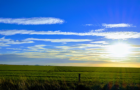 Green fields behind a fence with blue skies and clouds on a lovely sunny day