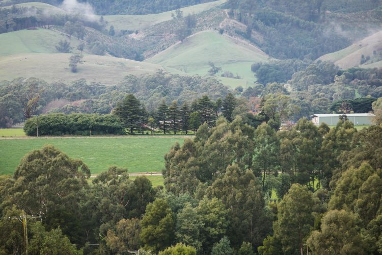 Ellinbank SmartFarm.