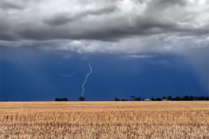 Field of crops with grey thunderous sky with lightening overhead