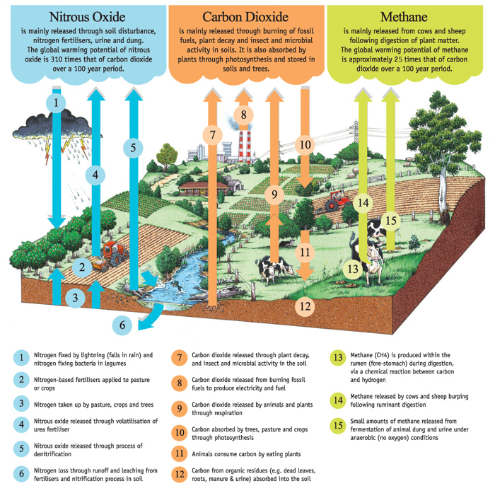 Greenhouse gas emissions from agricultural sector