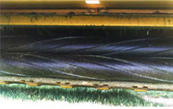 Close-up of black roller on mower conditioner