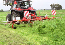 Grassy paddock with red tedder spreading the crop 