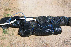 Black plastic bags that have been rolled into sausage shaped bags