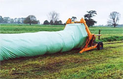 Grassy paddock with tubed shaped bales
