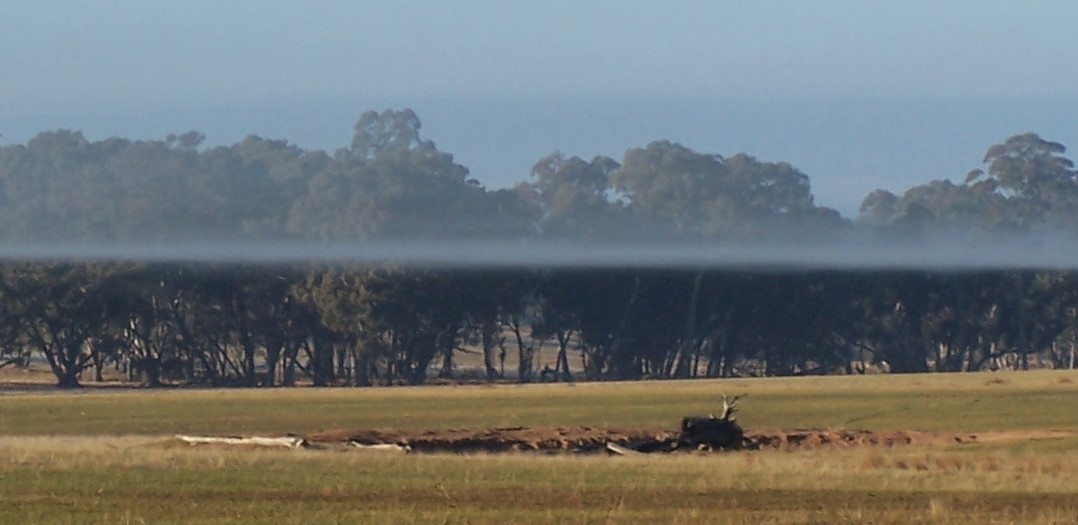 Inversion layer of fog on a still morning