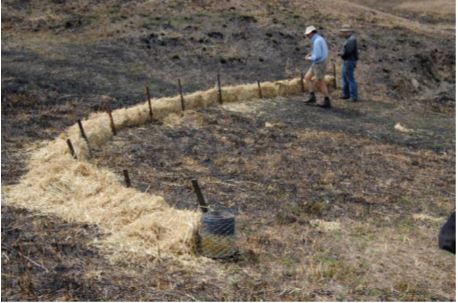 Example of a sediment fence built from straw that is supported by rabbit wire. Straw is laid against the rabbit mesh on the up-slope side. The fence is curved to allow water runoff to flow around the sides of the fence.
