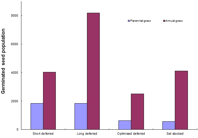 Graph shows germinated seed population for perennial grass compared to annual grass. Annual grass is always at least twice as high as perennial grass. It is highest for long deferred at just over 8000. More information given below image.
