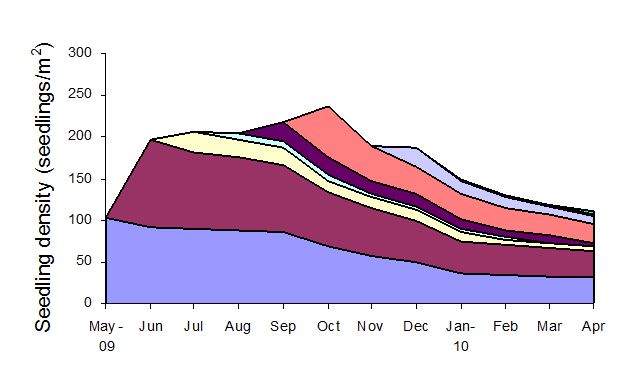Graph showing seedling density for optimised deferred grazing. More information given below image.