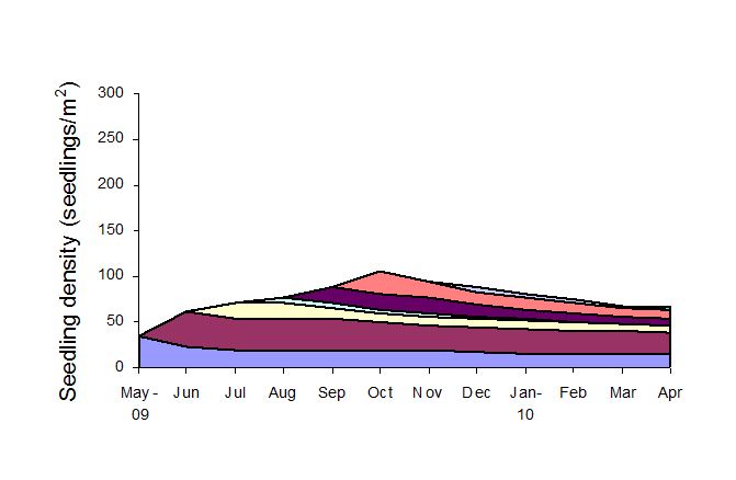 Graph showing seedling density for deferred grazing then rotational grazing. More information given below image.