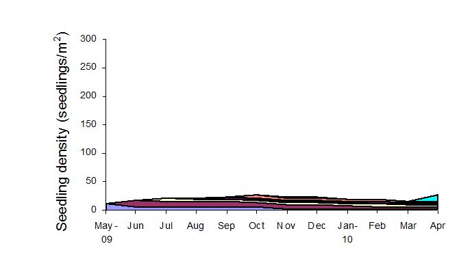 Graph showing seedling density for set stocking across the year. More information given below image.