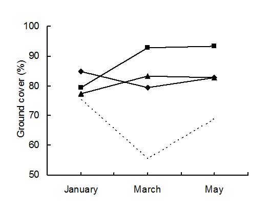 Graph shows short-term deferred grazing results in higher ground cover from mid-January to May than long-term deferred grazing, optimised deferred grazing and set stocking. More information given below image.