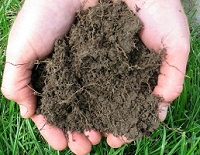 Hands holding soil underneath green grass 