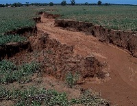 Deep furrow in field with rich red soil showing 