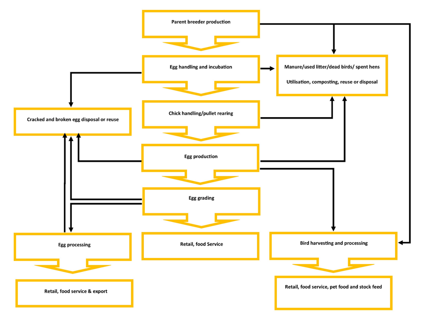 Figure 1: Flow diagram of egg production Image showing the flow diagram of egg production.