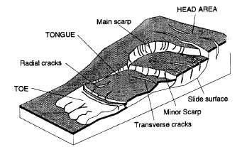 Parts of a slump landslip from bottom to top include the toe radial cracks, tongue, transverse cracks, minor scarp, main scarp, slide surface and head area