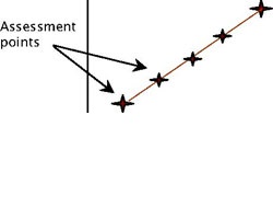 Diagonal transect across a paddock with assessment points regularly spaced along it