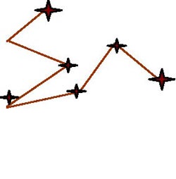 Randomised zig zag pattern across a paddock with assessment points at each angle