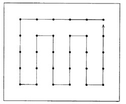 Figure 1 Diagram showing locations for taking 30 samples on a small, regular shaped paddock, Sample from the top right corner of the paddock along the top of the paddock to the next boundary, then sample down to the bottom boundary line, then sample up and down until you reach the right boundary of the paddock, then sample up to where you began.
