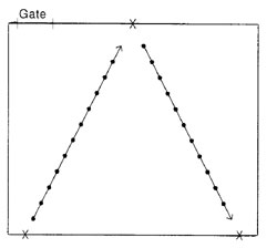 Figure 3 Diagram showing locations for taking 30 samples on a large, regular shaped paddock. Start in the bottom corner and sample on a diagonal line up to the centre at the top of the paddock. Then sample down in a diagonal line to the bottom corner of the paddock.