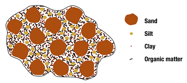 Diagram showing soil aggregate made up of organic matter, clay, sand and silt