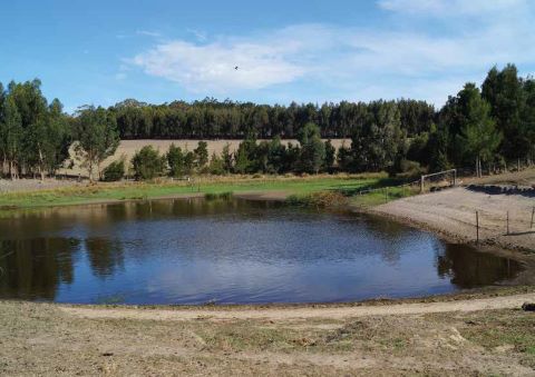 Dam on farm filled with water