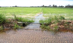 Irrigation system running through a green pasture.