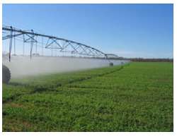 Centre pivot system spraying water on a grassed pasture