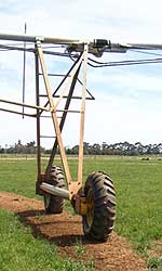 A well maintained, built up track — with the half-throw sprinklers on solid drops.