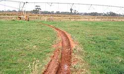 A deep wheel rut — where the soil has built up beside the rut, and where the gearbox has scraped.