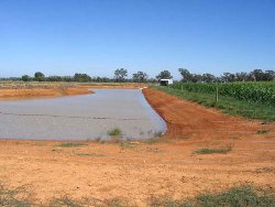 Storage, pump shed and suction — with fenced-off storage