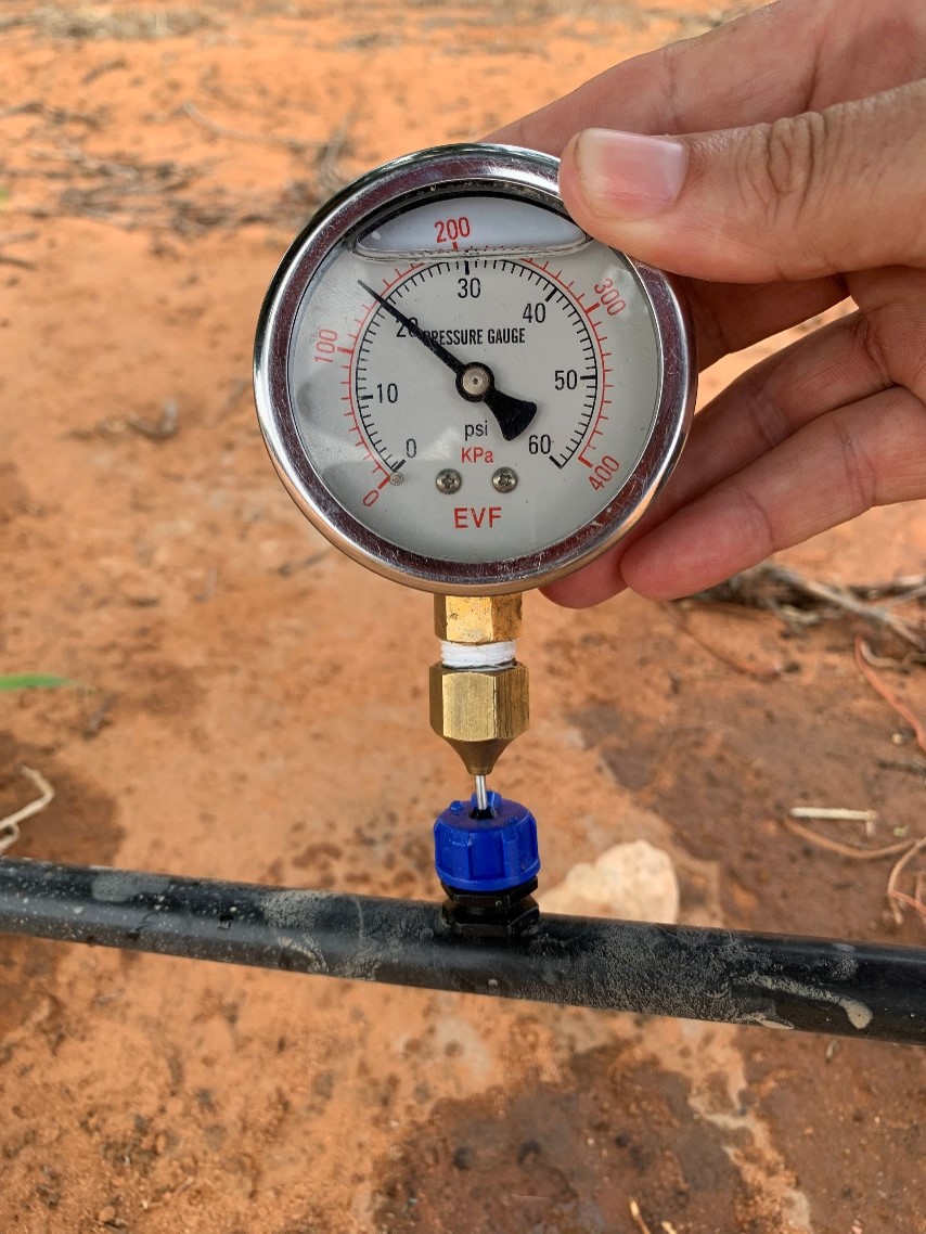 Checking dripline pressure using a pressure take-off point