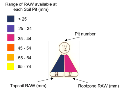 A triangle showing the readily available water in the topsoil and rootzone in one soil pit. Topsoil RAW is 24mm and rootzone RAW is 37mm