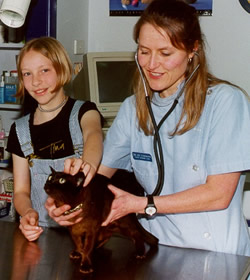 Vet listening to cat's heartbeat with child helping to hold the cat