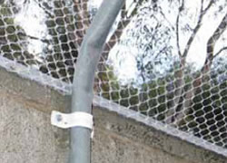 Wire netting attached to the top of the fence with bracing