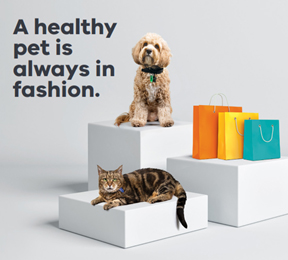 A shaggy tan poodle-cross dog, a tabby cat and 3 colourful paper shopping bags on shopping display plinths, beside the headline, “A healthy pet is always in fashion”.