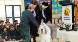 Pet Educator showing kindergarten students how to touch the dog