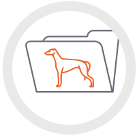  Icon of greyhound and paper folder