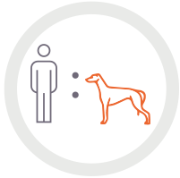 Greyhound and person icon