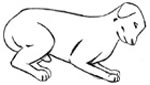 Sketch of nervous dog, crouched with head down